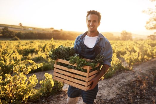 I provide the freshest, most delicious vegetables possible. a young man holding a crate full of freshly picked produce on a farm.
