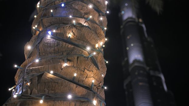 Garlands shine on the palm trees in Dubai at night.
