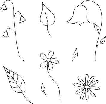 Hand drawn flowers and leaves, vector.