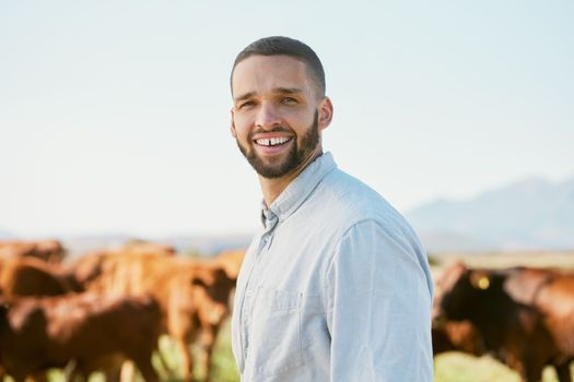 Cows, farm and black man portrait happy about cattle agriculture, farming and nature in summer. Grass field, ecology industry and businessman checking animal meat production with a smile outdoor