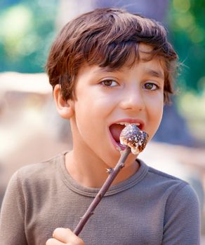 The perfect campsite sweet treat. Cropped view of a little boy eating a marshmallow on a stick.