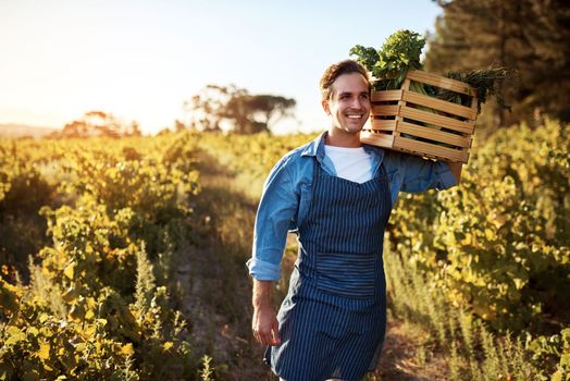 Hes a man on a farming mission. Cropped portrait of a handsome young man holding a crate full of freshly picked produce on a farm.