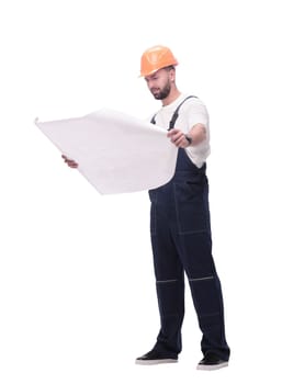 competent foreman Builder looking at drawings. isolated on white