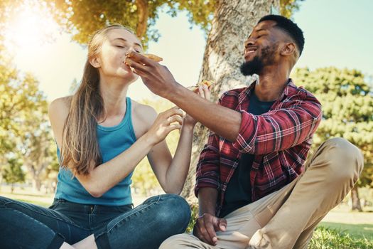 Pizza, food and picnic with a diversity couple in a park during summer for a romantic date together. Fast food, eating and love with a man and woman dating or bonding in a garden for romance and fun