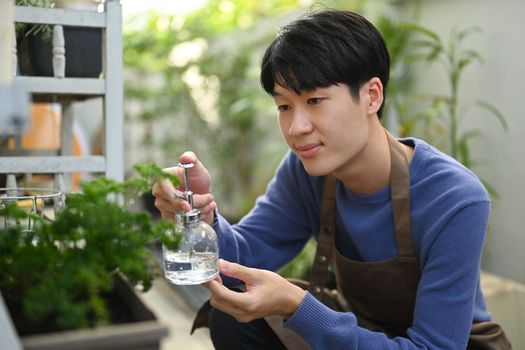 Satisfied asian man in apron spraying plants with pure water from a spray bottle. Gardening hobby concept