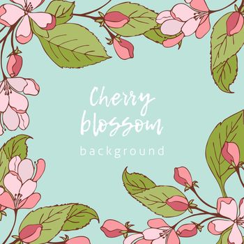 Cherry blossoms background, hand drawn spring flowers.