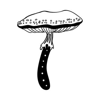 Magic mushrooms. Psychedelic hallucination. Outline vector illustration isolated on white. 60s hippie art.