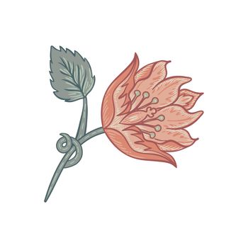 Floral vintage element isolated. Enchanted Vintage Flowers. Arts and Crafts movement inspired. Vector design element.