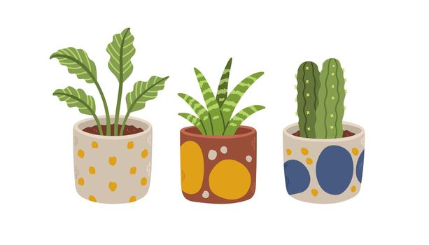 Flowers pot set. Organic flat houseplant collection. Set of house indoor plants. Vector illustration.