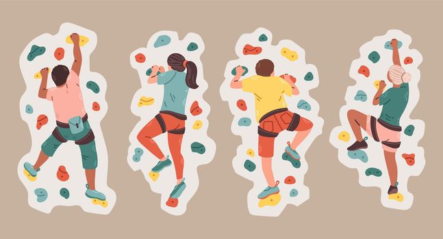 Set of men and women climbers on a wall in a climbing gym isolated on grey background vector