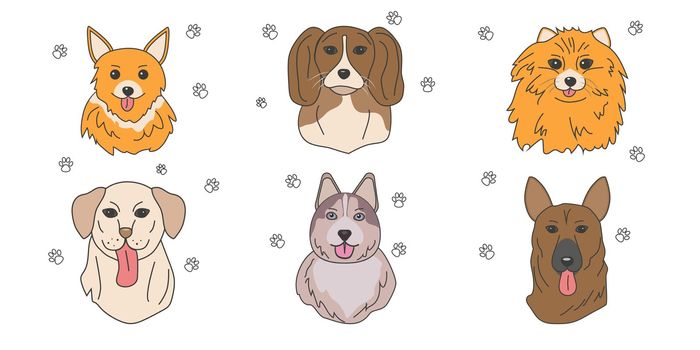 set of dogs of different breeds doodle