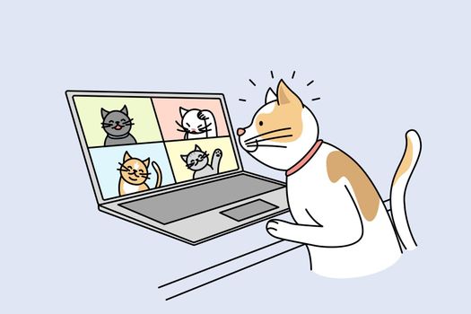 Cat talk on video call with pets