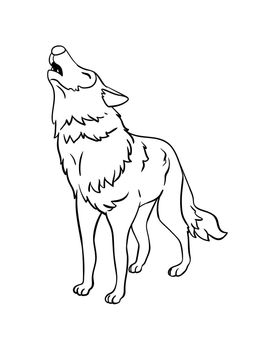 Wolf Isolated Coloring Page for Kids