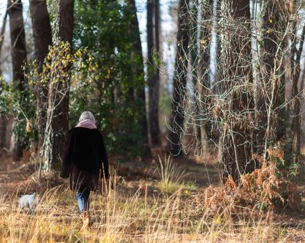 Senior woman walking her dog in the forest