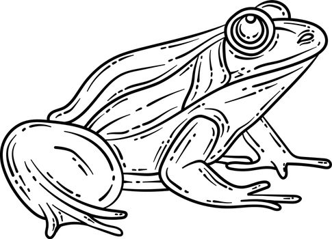 Frog Spring Coloring Page for Adults