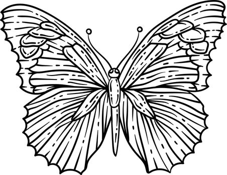 Butterfly Spring Coloring Page for Adults