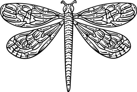 Dragonfly Spring Coloring Page for Adults