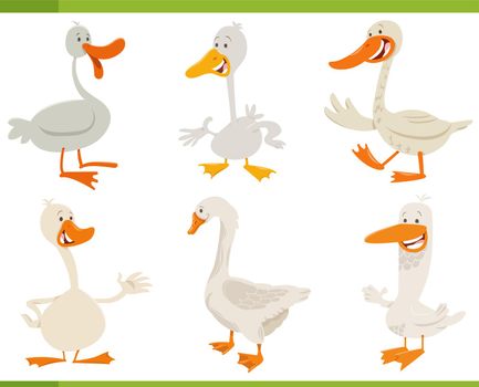 cartoon funny geese farm animal characters set