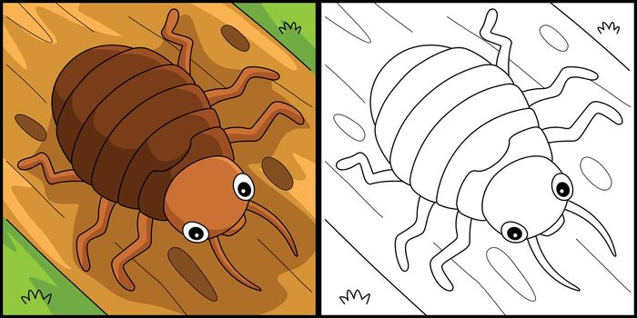 Bedbug Animal Coloring Page Colored Illustration