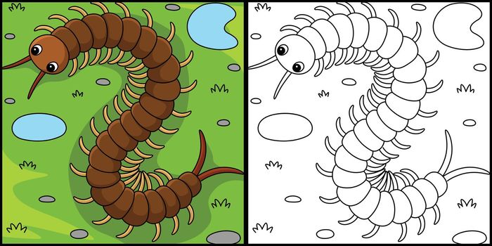 Centipede Animal Coloring Page Illustration