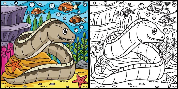 Eel Coloring Page Colored Illustration