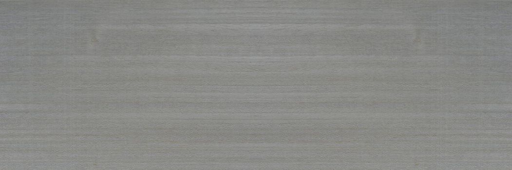 Texture of silver wood. Texture of koto wood with a silvery white tint. Exotic rare wood from Africa for the production of expensive furniture or interior elements