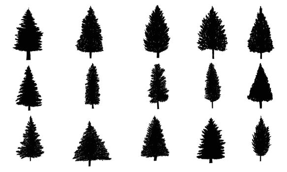 Pine tree silhouette set collection vector illustration