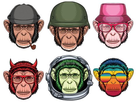 Chimpanzee fashion set collection