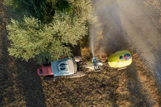 Pesticide treatment for an olive plantation 