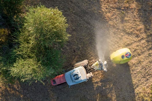 Pesticide treatment for an olive plantation 