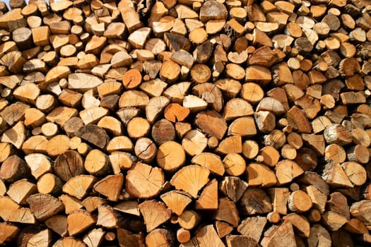 Stock of firewood for the winter 