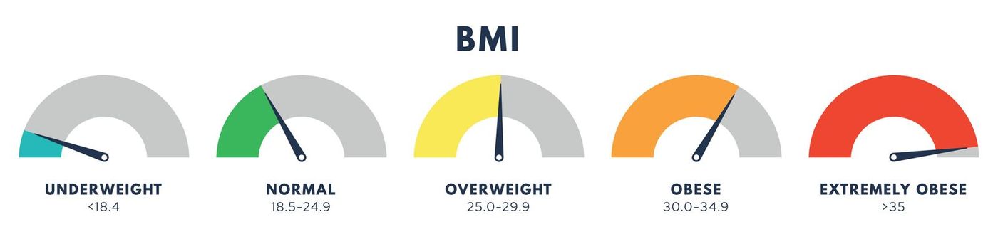 Body Mass Index or mass index scale. Types of BMI.Weight loss concept. Vector isolated illustration