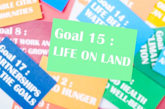 The Goal 15 : Life on land. The SDGs 17 development goals environment. Environment Development concepts.