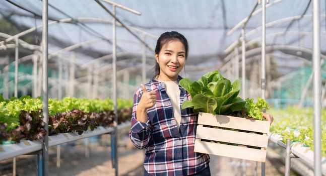 Asian farmer young woman hold basket of vegetable in farm. Attractive agriculturist stand and holding carry box of vegetables hydroponic with smiling and look at camera at green house farm