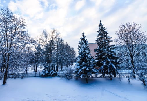 Winter landscape with snow-covered trees.