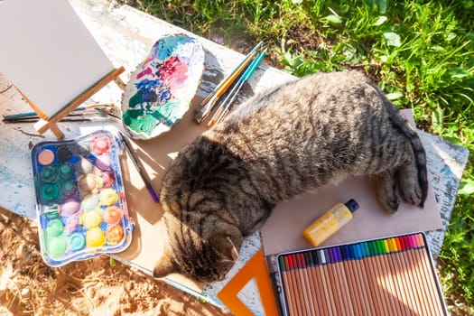 Lazy cat lying on the table with school supplies.