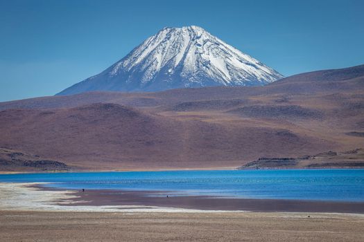 Salt lake, turquoise Laguna Miscanti, volcanic landscape at sunrise, Atacama
