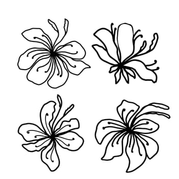 Flower vector one line art, minimalist contour hand drawing