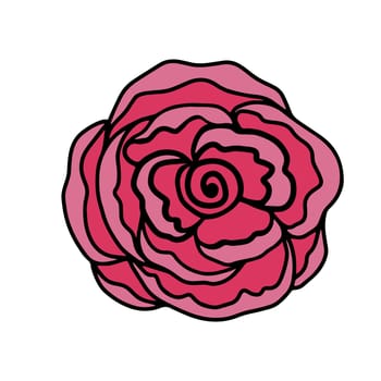 Cute rose flower