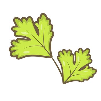 cartoon parsley leaves isolated on white background
