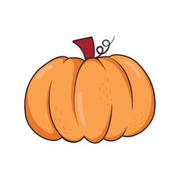 cartoon simple doodle pumpkin for halloween and thanksgiving