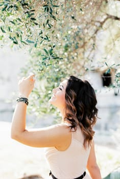 Happy bride touches the green branches of the olive tree