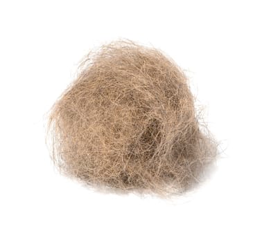 A tuft of gray cat hair on a white isolated background