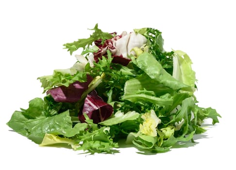 Mix of lettuce leaves escariole, frisee, radicchio, arugula on a white isolated background, dietary healthy food.