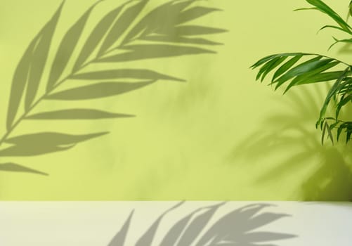 Green palm leaves with shadow on a green background. Empty stage for demonstration and advertising of cosmetic products