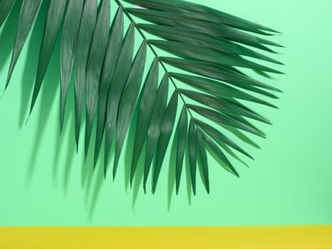 Green palm leaves with shadow on a green background
