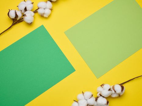 Cotton flower on a yellow paper background, overhead. Minimalism flat lay composition