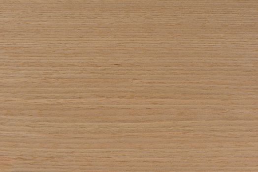 Natural oak texture. Wood texture. Oak board for furniture production. Untreated plank of young oak with fine texture in light color
