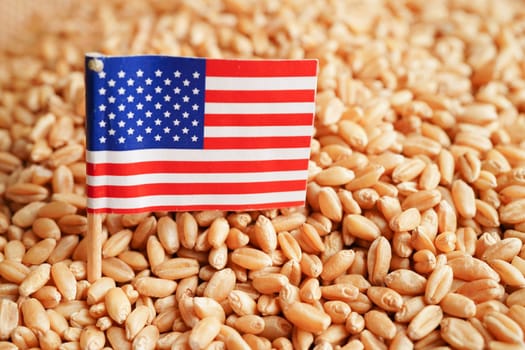 USA America on grain wheat, trade export and economy concept.