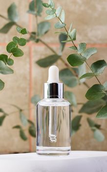 Clear glass dropper bottle with cosmetic product and eucalyptus branch
